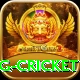 1st inning betting cricket Plus Pro v1.3.8