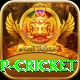 2022 world cup cricket Premium v4.1.8