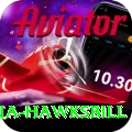 antigua hawksbill Pro v4.1.2