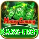 bass fish