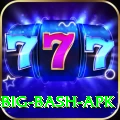 bbl big bash apk Pro Edition v2.9.8