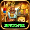 bingopkr VIP