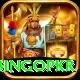 bingopkr VIP