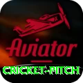 cricket pitch Pro Max v2.0.4