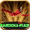 darwish rasooli - VIP Plus