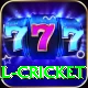 defending total cricket Games (Casino & Earning) Gold v1.6.3