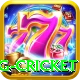 eng cricket Games (Casino & Earning) Ultimate v1.7.3