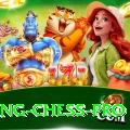 flying chess Pro Casino App