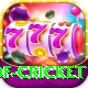 god of cricket Pro v1.0.5