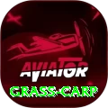grass carp Master Pro v3.4.2