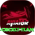 hong kong cricket team Premium Edition v3.8.3