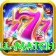 ind all match Pro Edition v4.3.2