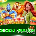 india cricket match Max v3.3.0