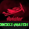 india newzealand cricket match Ultimate v3.7.7