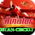india pakistan cricket Gold Edition v3.7.5