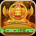 india pakistan cricket - Super Edition v5.6.5
