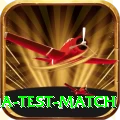 india test match Premium Plus v1.2.0