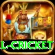 international cricket Plus v1.8.7