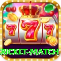 international cricket match Deluxe Pro v3.7.2