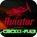 international cricket Game Master v3.2.0