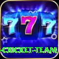 ireland cricket team Pro1 v2.3.9