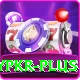 luckypkr Plus Edition v5.9.5