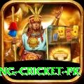 make money betting cricket pk VIP v2.8.9