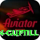 martin guptill VIP Edition v1.4.2