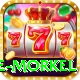 morne morkel Pro
