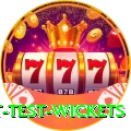 most test wickets Premium Edition v1.0.8
