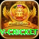 ndtv cricket Pro Edition v5.3.3