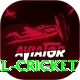 nepal cricket VIP Edition v3.1.0