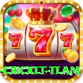 netherlands cricket team Max Pro v4.1.1