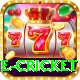 one cricket Games (Casino & Earning) Max v5.3.3
