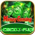 online cricket - Live Elite
