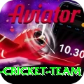 pakistan women cricket team VIP Edition v5.2.5