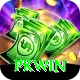 PKWin Apps (Tools & Injectors) VIP vv2.9.0