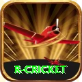 r cricket VIP Pro v3.3.0