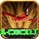 r cricket VIP Pro v3.3.0