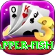 red snapper fish Premium Edition v3.4.6
