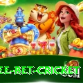risk free bet cricket VIP v3.1.0