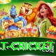 risk free bet cricket VIP v3.1.0