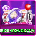 rudi koertzen Max v3.9.1