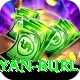 ryan burl VIP v4.8.5