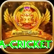 sa cricket Deluxe Edition v3.0.7