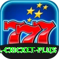 sl cricket Premium New