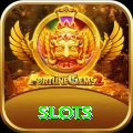 slots Premium v2.5.5