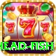 snake head fish Pro1 v2.7.9