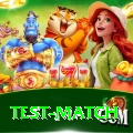 test match Elite Pro v5.9.1