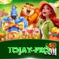 tojay Gold - Casino & Slots
